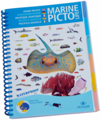 pictolife fish book asian balidiveshop  large